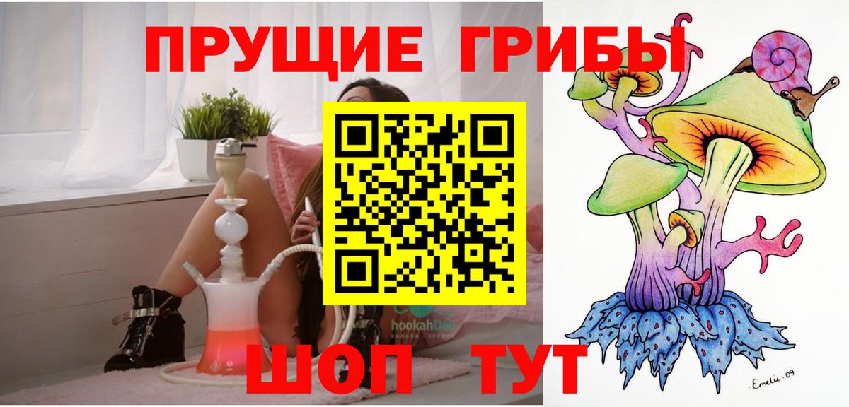 Галлюциногенные грибы ЛСД Сосновый Бор